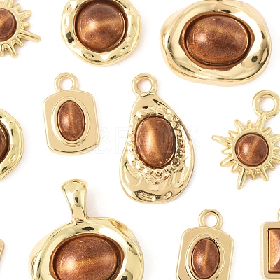 12Pcs 6 Styles Alloy Resin Pendants FIND-FS0004-05-1