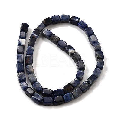 Natural Sodalite Beads Strands G-F791-C04-1