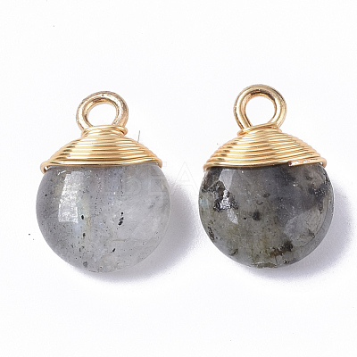 Natural Labradorite Pendants X-G-S359-021A-1