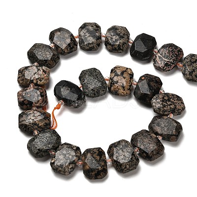 Natural Snowflake Obsidian Beads Strands G-H078-B22-01-1