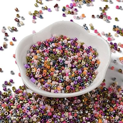 Baking Paint Glass Seed Beads X-SEED-S042-05A-13-1