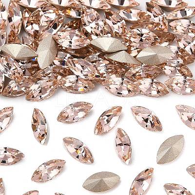 Preciosa&reg MAXIMA Crystal Fancy Stones X-PRC-FG8-70530-1
