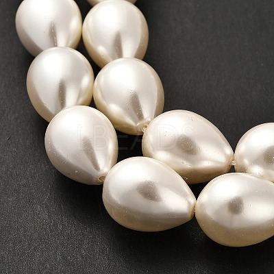 Electroplate Shell Pearl Beads Strands BSHE-G010-14x18mm-01-1