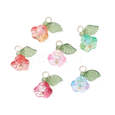 Glass & Acrylic Charms PALLOY-TA00037-1