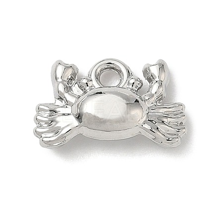 Alloy Charms FIND-Z101-04P-04-1