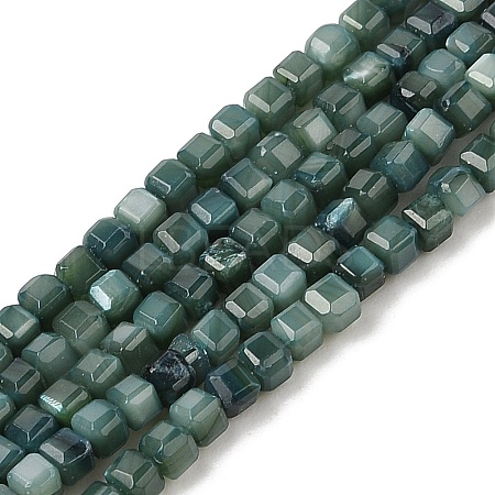 Natural Freshwater Shell Dyed Beads Strands SHEL-R100-11A-05-1