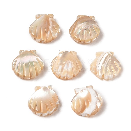 Natural Trochus Shell Carved Beads SHEL-P017-08B-1