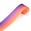 Gradient Rainbow Polyester Ribbon OCOR-G008-04C-2