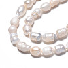 Natural Cultured Freshwater Pearl Beads Strands PEAR-N012-05F-4