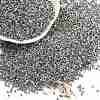 Electroplate Glass Seed Beads SEED-H003-10E-1