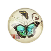 Butterfly Printed Glass Half Round/Dome Cabochons GGLA-N004-12mm-C-2