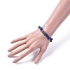 Chips Natural Gemstone Stretch Bracelets BJEW-JB04700-6