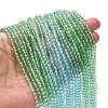 Transparent Painted Glass Beads Strands LS-DGLA-A034-T3mm-A16-2