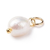 Grade B Natural Cultured Freshwater Pearl Charms PALLOY-JF01497-01-3