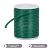 10 Rolls 10 Colors Polyester Braided Cords OCOR-GO0001-02-3