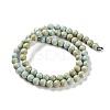 Natural Rainbow Alashan Agate Beads Strands G-NH0022-A01-01-3