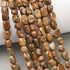 Natural Picture Jasper Beads Strands G-C286-A07-1