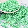 Baking Paint Glass Seed Beads X-SEED-S042-05B-59-1