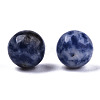 Natural Blue Spot Jasper Beads G-R483-08-8mm-3