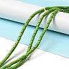 Synthetic Turquoise Beads Strands TURQ-G120-4x6mm-08-2