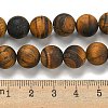 Frosted Natural Tiger Eye Beads Strands G-Q177-A01-01-5