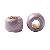 TOHO 11/0 Round Beads X-SEED-TR11-PF0554F-3