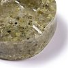Resin with Natural Rutilated Quartz Chip Stones Ashtray DJEW-F015-05G-2