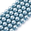 Shell Pearl Beads Strands BSHE-K015-10mm-02-1