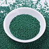 MIYUKI Delica Beads X-SEED-J020-DB0656-2