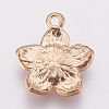 Zinc Alloy Enamel Pendants X-PALLOY-I124-10G-B-2