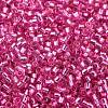 Glass Seed Beads SEED-S042-04B-19-3