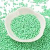 Baking Paint Glass Seed Beads X-SEED-S042-05B-59-2
