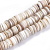 Natural Freshwater Shell Beads Strands X-SHEL-N003B-02-2
