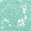 Baking Paint Glass Seed Beads X-SEED-S042-05B-61-3
