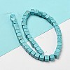 Dyed Synthetic Turquoise Beads Strands G-G075-B02-02-3