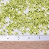 MIYUKI Delica Beads SEED-X0054-DB0147-2
