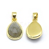 Natural Labradorite Pendants LS-G-O176J-07G-2