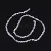 Imitation Austrian Crystal 5301 Bicone Beads GLAA-S026-07-2