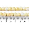 Baking Paint Glass Bead Strands X-GLAA-H031-01B-03-5