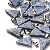 Natural Blue Spot Jasper Pendants G-B127-04P-04-1