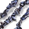 Dyed Natural Trochus Shell Beads Strands BSHE-Z006-01C-1