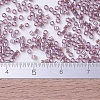 MIYUKI Delica Beads Small X-SEED-J020-DBS0173-4