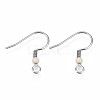 304 Stainless Steel Earring Hooks STAS-S057-63-2