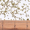 MIYUKI Delica Beads SEED-X0054-DB0604-4