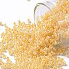 TOHO 11/0 Round Beads SEED-TR11-0903-1