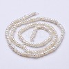 Natural Cultured Freshwater Pearl Beads Strands PEAR-F004-67A-2