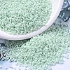 MIYUKI Delica Beads SEED-X0054-DB1496-1