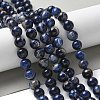 Natural South Africa Sodalite Beads Strands X-G-S259-35-10mm-7