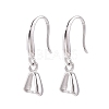 Anti-Tarnish Rhodium Plated 925 Sterling Silver Earring Hooks STER-N016-25P-1