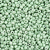 8/0 Baking Paint Glass Seed Beads SEED-R051-07B-08-3